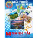 Giấy in màu 130g A4 (Giấy thuốc) (100 tờ/xấp)