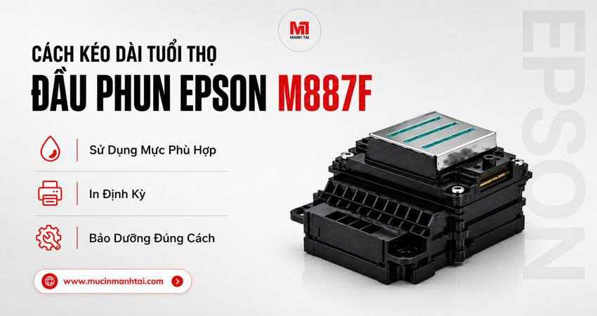 Hướng dẫn bảo dưỡng đầu phun Epson M887F giúp kéo dài tuổi thọ và hạn chế tắc nghẽn