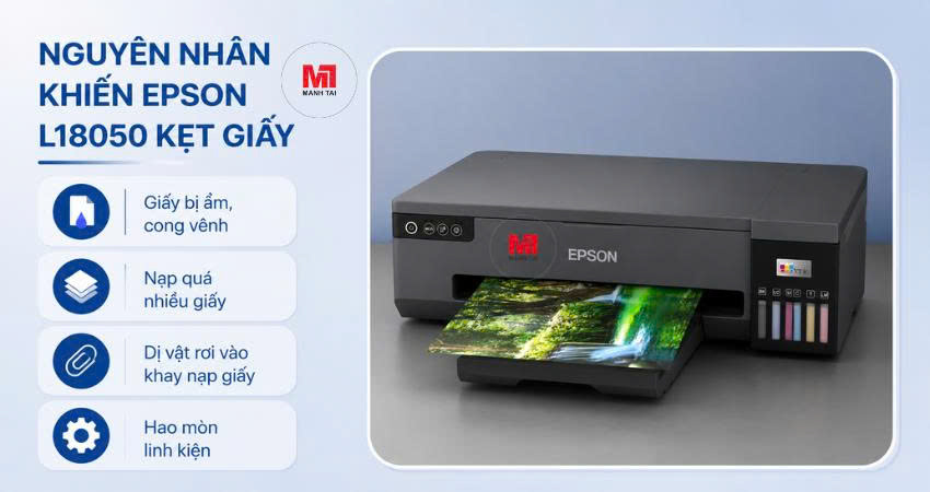 Khắc Phục Lỗi Máy In Epson L18050 Bị Kẹt Giấy